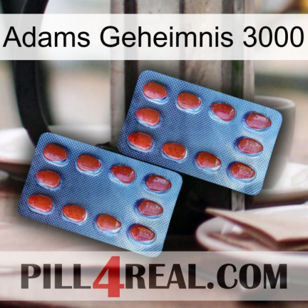 Adams Secret 3000 05